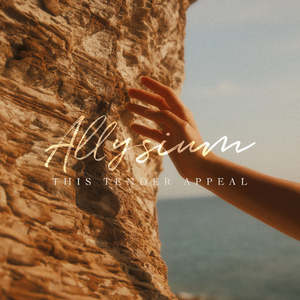 日韩无码一二三区
